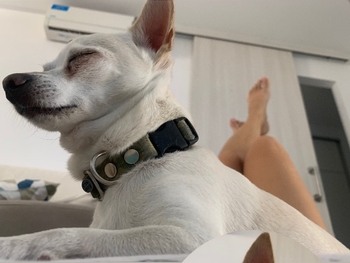 Amy Jefferson-Santee