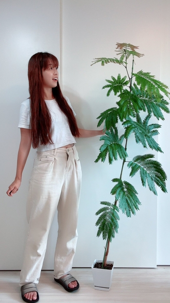 Maho Tomita