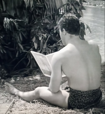 Johnny Sheffield