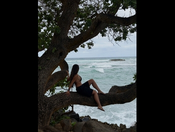  alt="Amanda Diaz Torres"