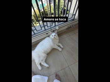  alt=
