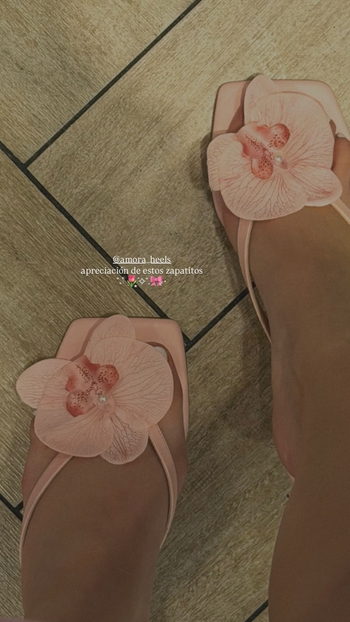 Adriana Campos Salazar