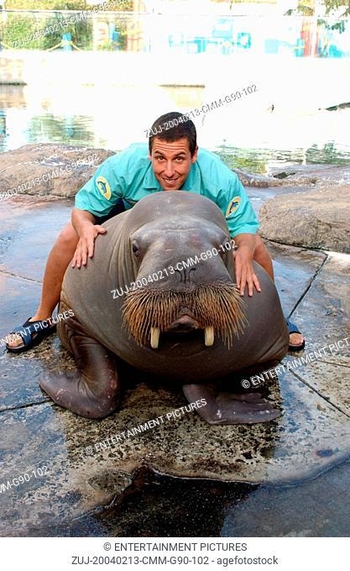 Adam Sandler