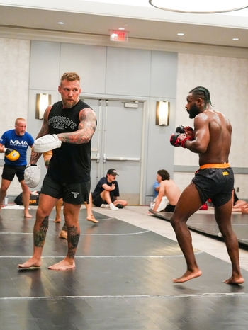 Aljamain Sterling