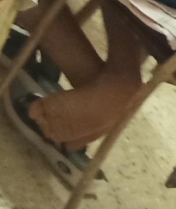 Pablo Torre
