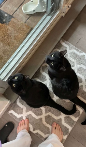 Luca Schaefer-Charlton