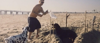 Bradley Nowell