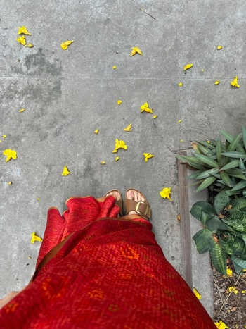 Rukmini Vasanth