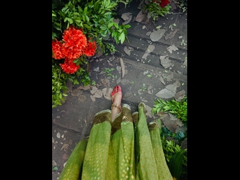  alt="Simran Sharma"