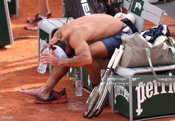 Fernando Verdasco