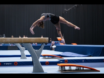 alt="Flavia Saraiva"