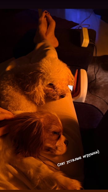 Kseniya Lavrova-Glinka