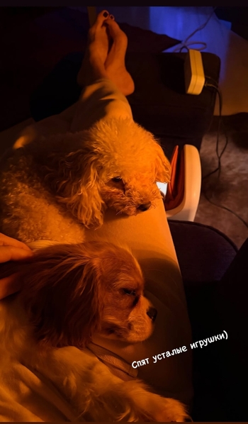 Kseniya Lavrova-Glinka