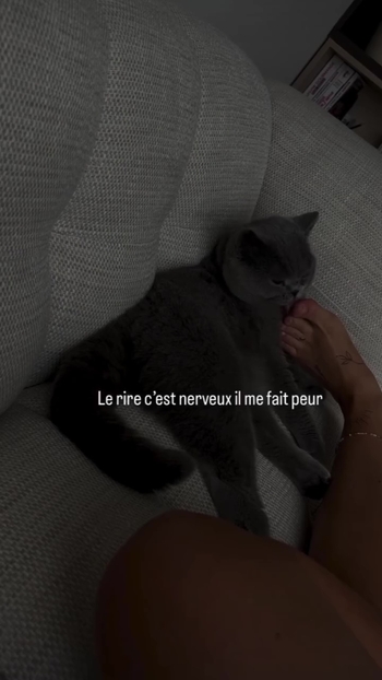 Apolline Guermonprez