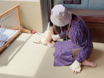 Noriko Shibasaki