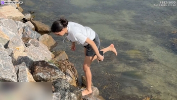 NoraExplorer