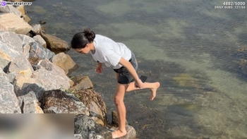 NoraExplorer