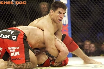 Frank Shamrock