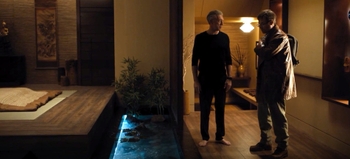 Vincent Cassel