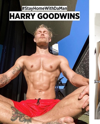 Harry Goodwins