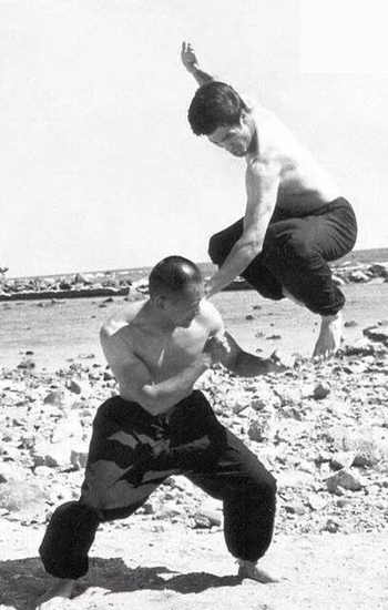 Bruce Lee