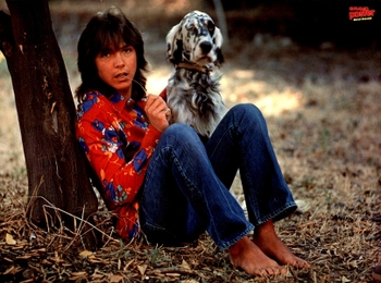 David Cassidy