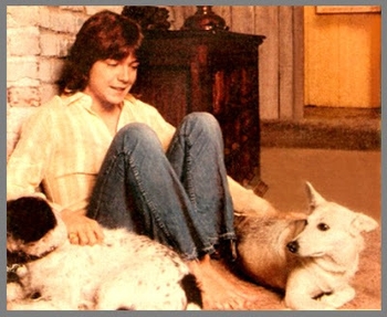 David Cassidy