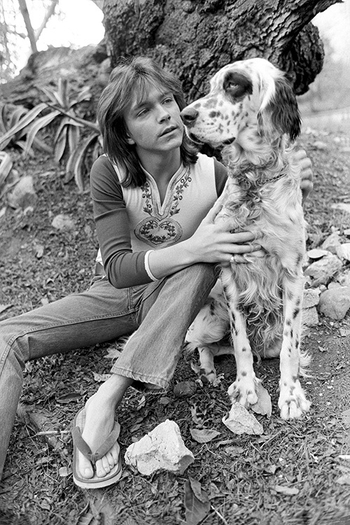 David Cassidy