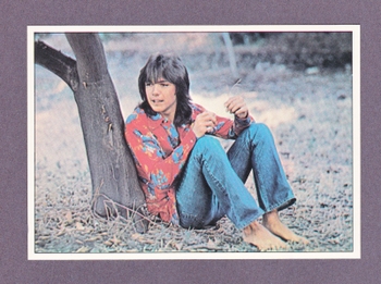 David Cassidy