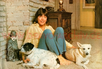 David Cassidy