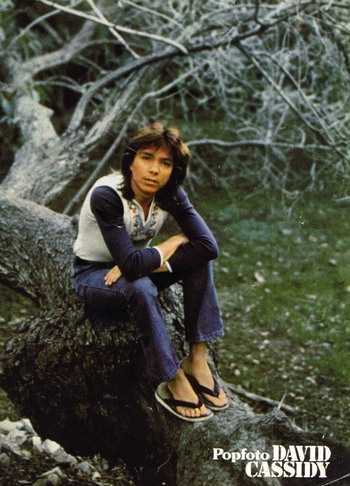 David Cassidy