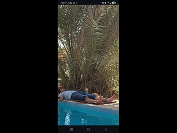  alt="Karim Kassem"