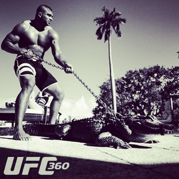 Alistair Overeem