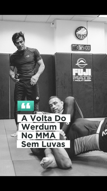 Fabricio Werdum