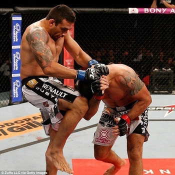 Fabricio Werdum