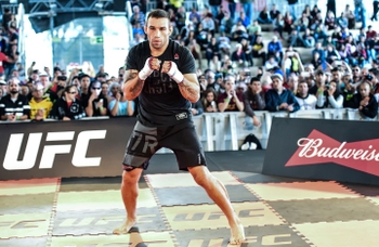 Fabricio Werdum