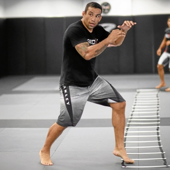 Fabricio Werdum