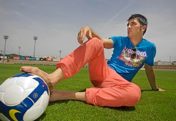 David Villa