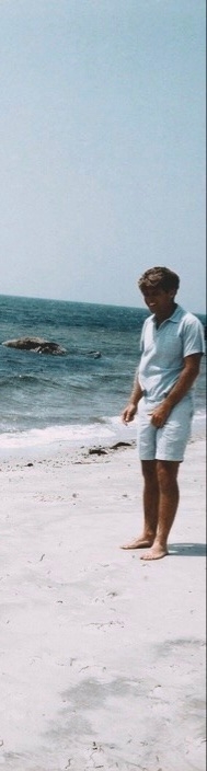 Robert F. Kennedy