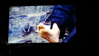 Bear Grylls