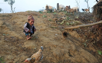 Chandra Bahadur Dangi