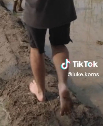 Luke Korns