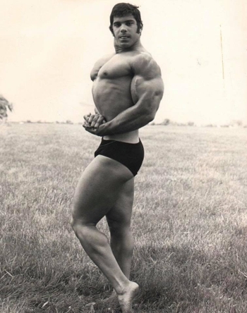 Lou Ferrigno