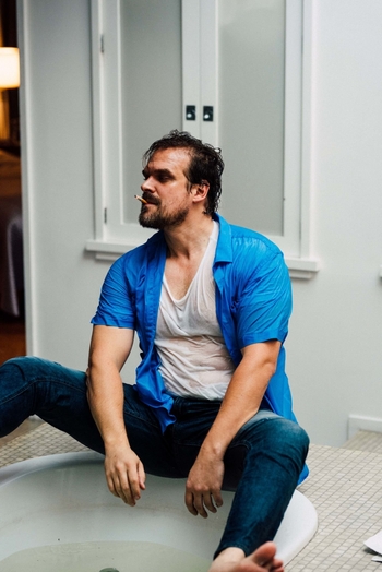 David Harbour