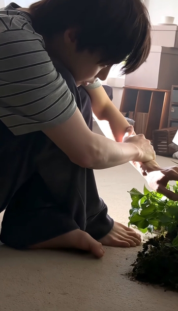 Doyoung