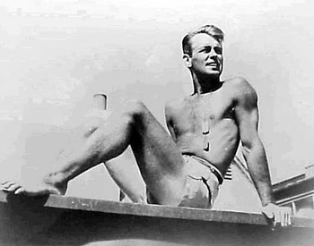 Alan Ladd