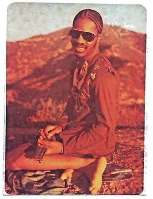 Stevie Wonder