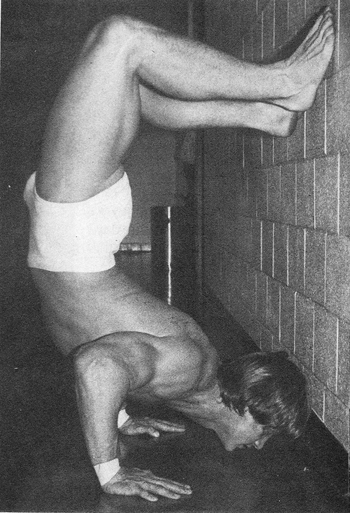 Kevin Von Erich