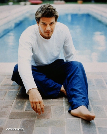 David Boreanaz