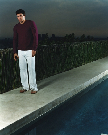 David Boreanaz